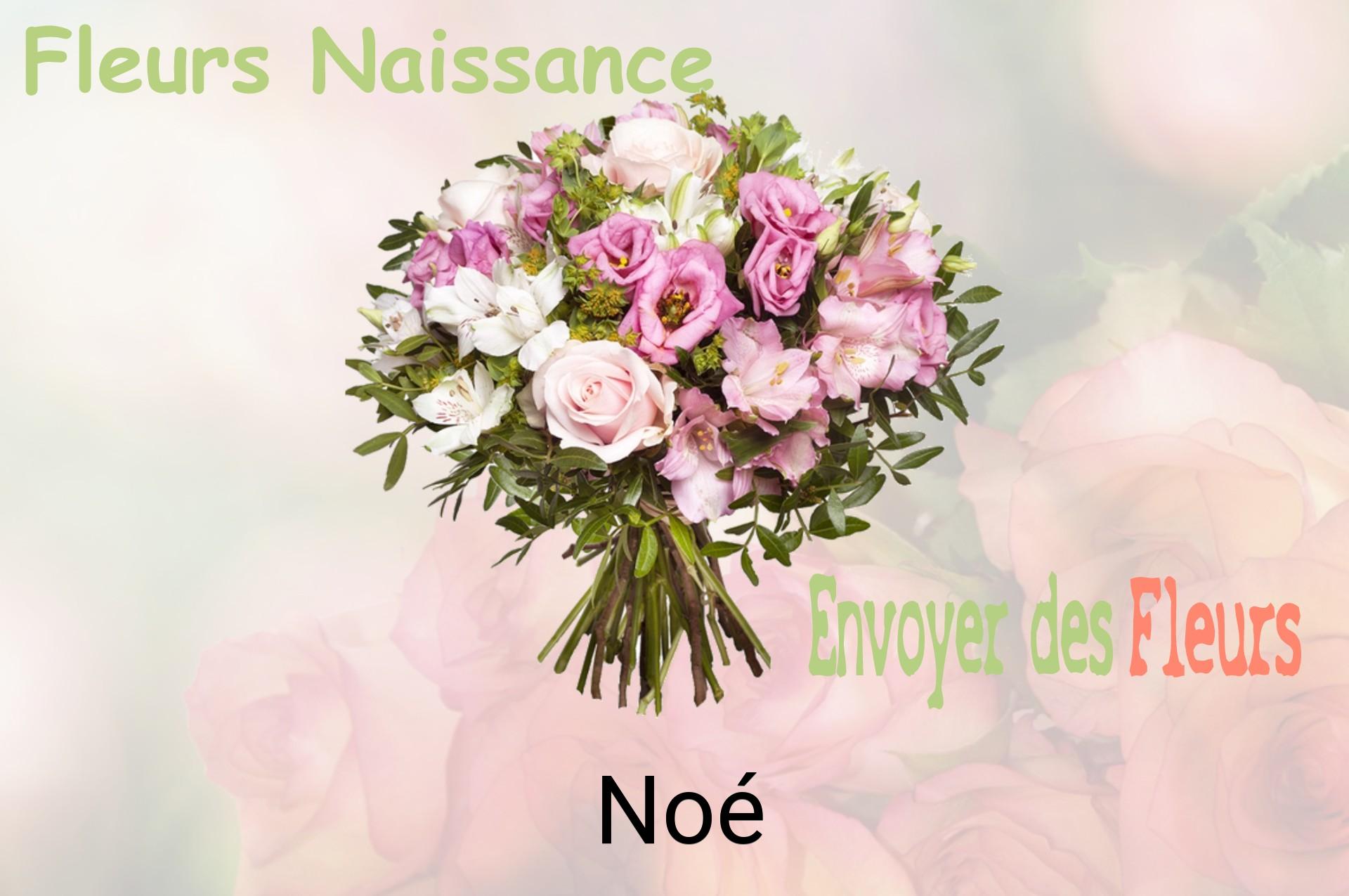 Bouquet de fleurs de naissance livré à Noé